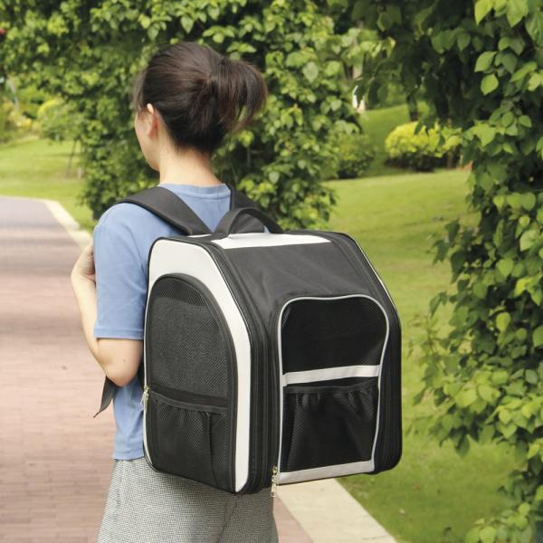 Hunde Transport Ruclsack